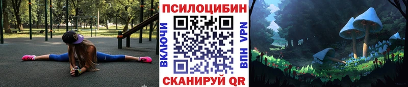 Псилоцибиновые грибы GOLDEN TEACHER  Купить  Зверево 